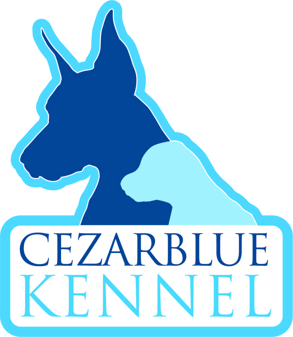 Kennel club uk puppies for outlet sale